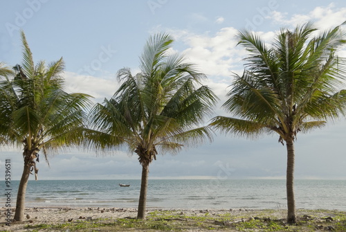 Coconut trees on a sea shore in Mui Ne, Vietnam. © Vlad Karavaev