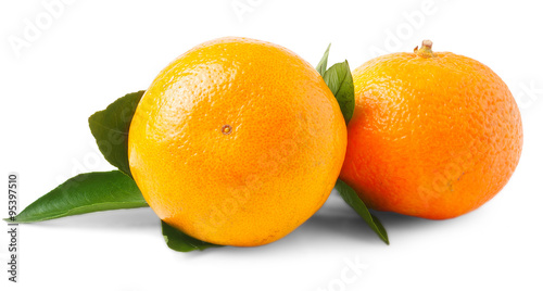 pair of fresh mandarin oranges