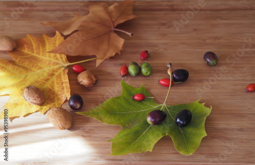 Autumn time in Spain: still life with maple leaf, olives and briar berries