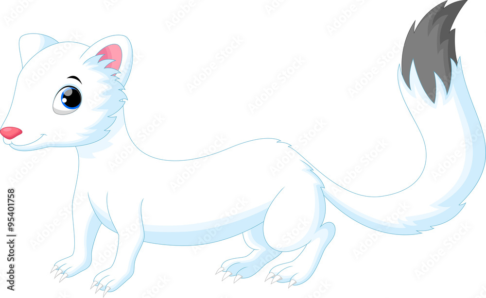 Cute white Least Weasel Cute white Least Weasel