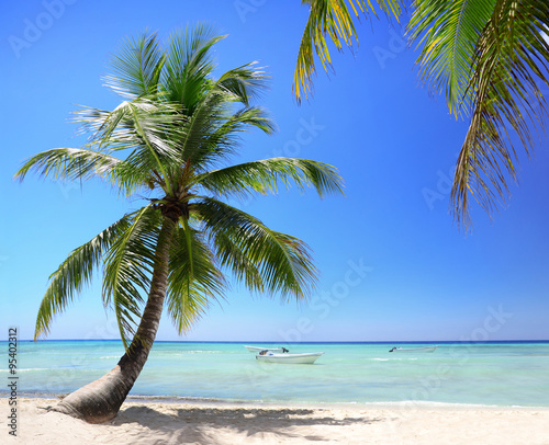 Fototapeta Naklejka Na Ścianę i Meble -  Exotic Beach in Dominican Republic, punta cana
