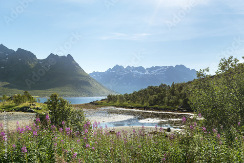 Beautiful landscape of Lofoten Islands