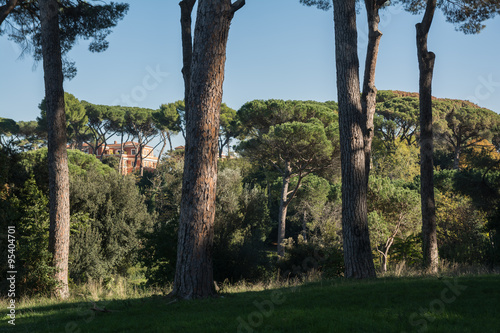 Villa Ada