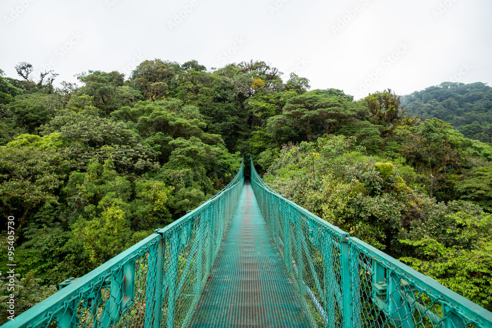 Naklejka premium eine Brücke im Regenwald