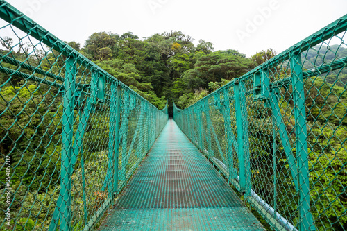 eine Brücke im Regenwald