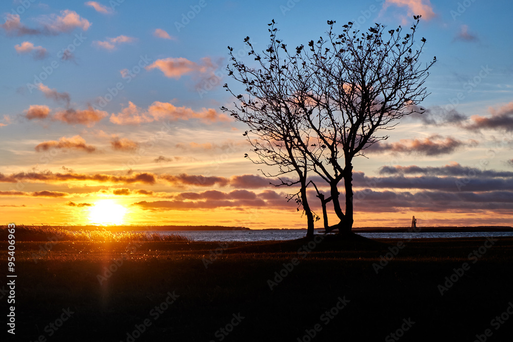 sunset sunset