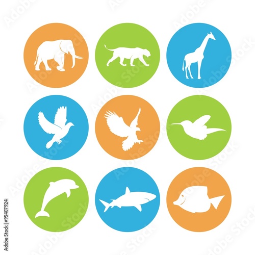 Animal Collection Circle Design Icon
