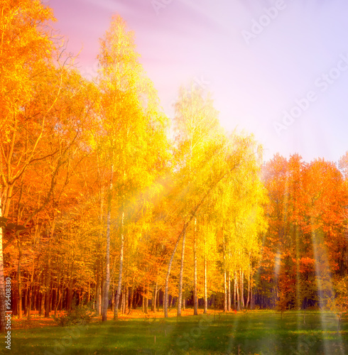 Sunset Falls Colors Autumn © Emoji Smileys People