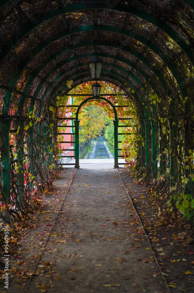 Inside arch with autumnal time lianes and lanterns