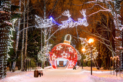 Christmas light installation in the park