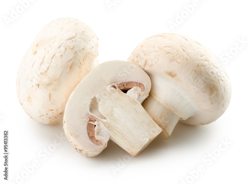 white mushrooms isolated on the white background