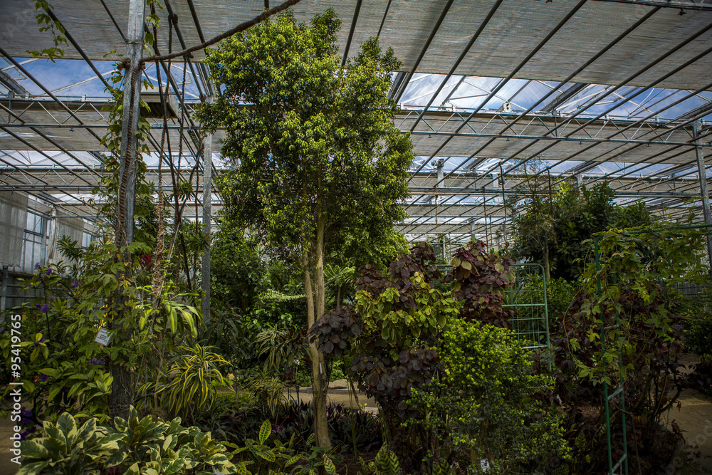 Ogród botaniczny Ogród botaniczny