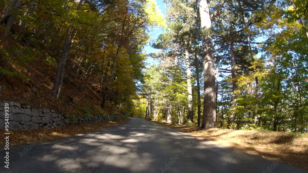scenic route through morning forest in the mountains, GoPro scenic route through morning forest in the mountains, GoPro