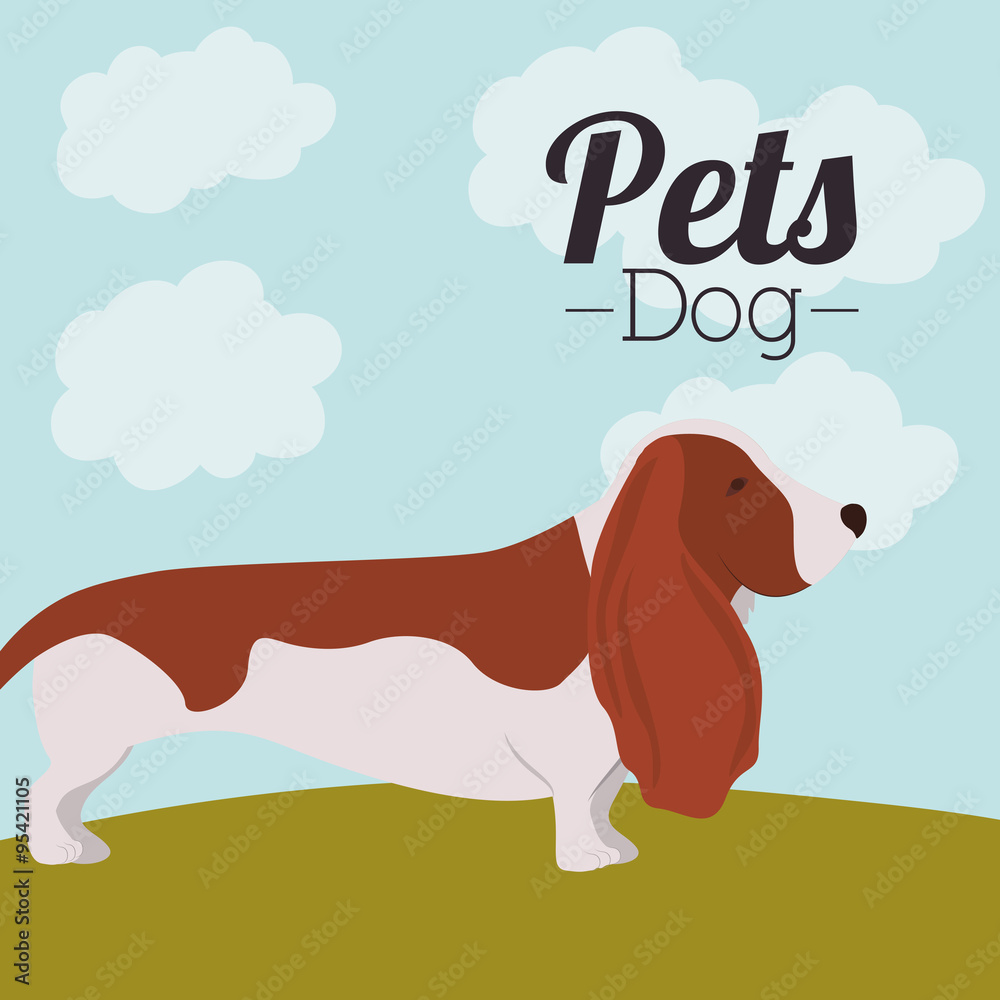 pet dog design 