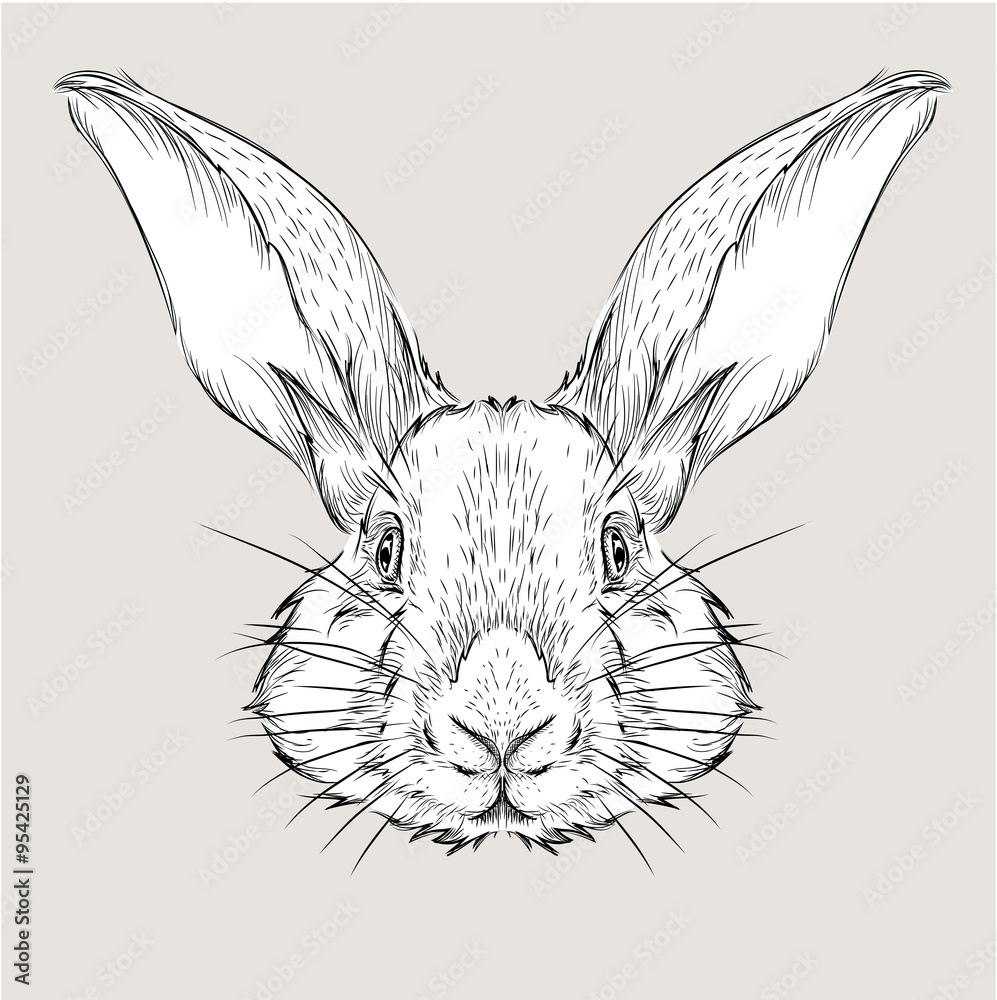Fototapeta premium The poster with the image rabbit portrait. Hand draw vector illustration.