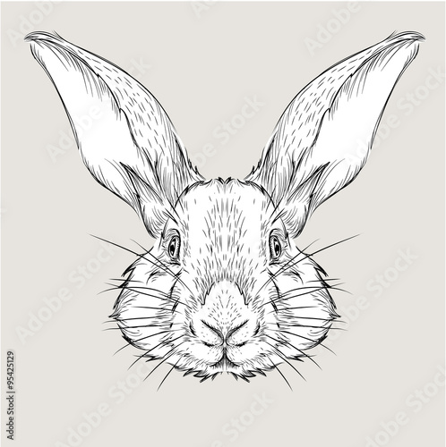 The poster with the image rabbit portrait. Hand draw vector illustration.