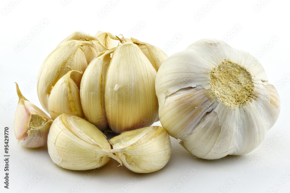 Garlic on white background Garlic on white background