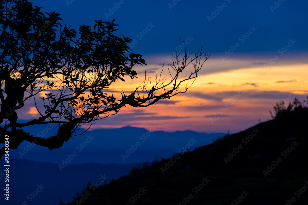 Naklejka premium Sunset with silhouette tree on high mountain