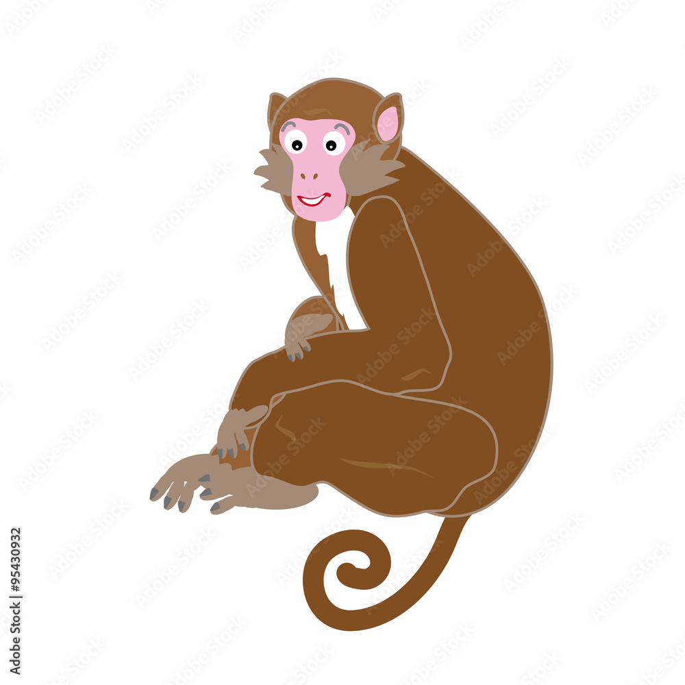 フェミニンでかわいい若いオスの猿のクリッピングアート Stock Illustration Adobe Stock
