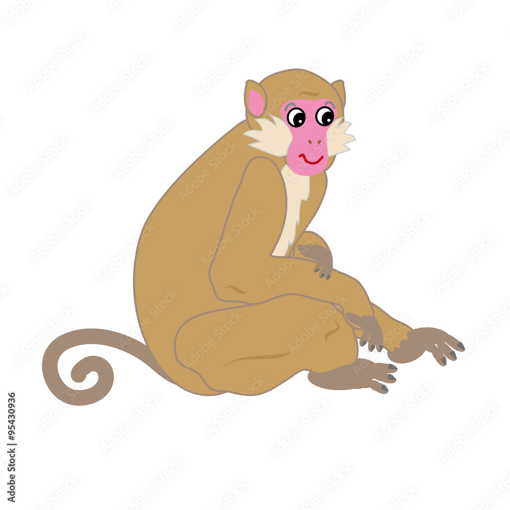 フェミニンでかわいい若いメスの猿のクリッピングアート Stock Illustration Adobe Stock