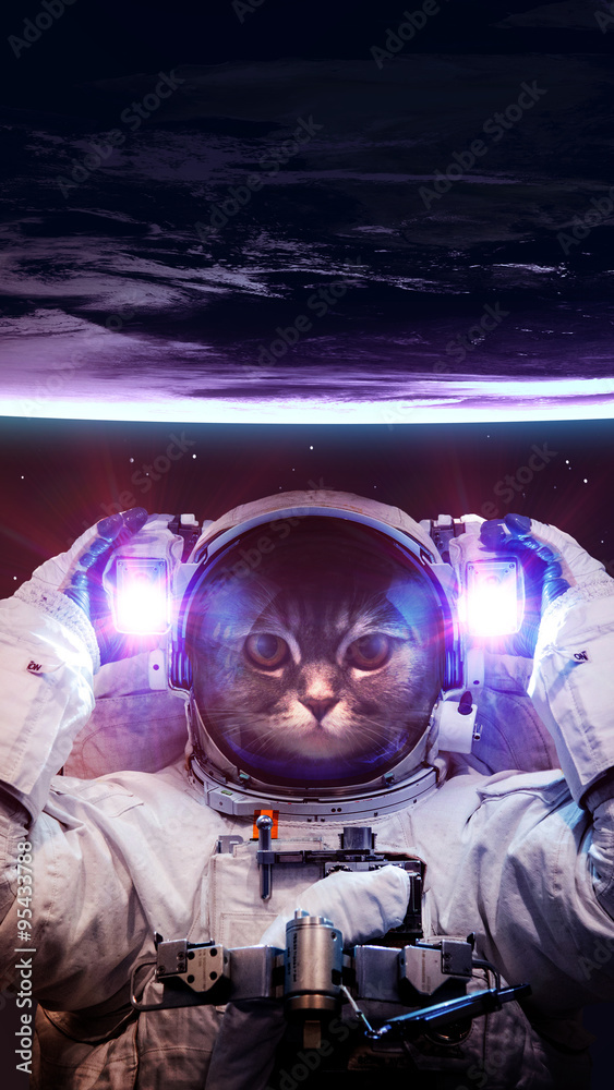 Fototapeta Beautiful cat in outer space. Elements of this image furnished by NASA