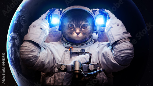 Naklejka na szafę Kot w kosmosie