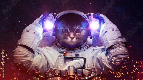 Beautiful cat in outer space. Elements of this image furnished by NASA © Vadimsadovski