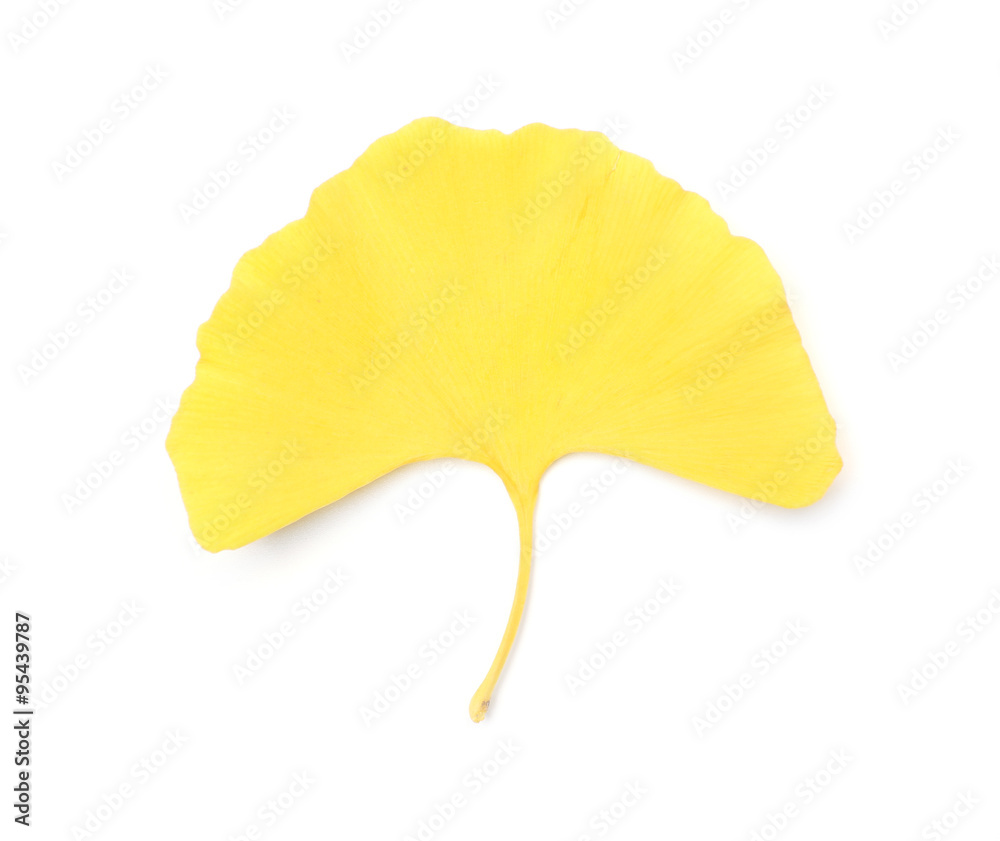 Naklejka premium Fall leaf isolated on white
