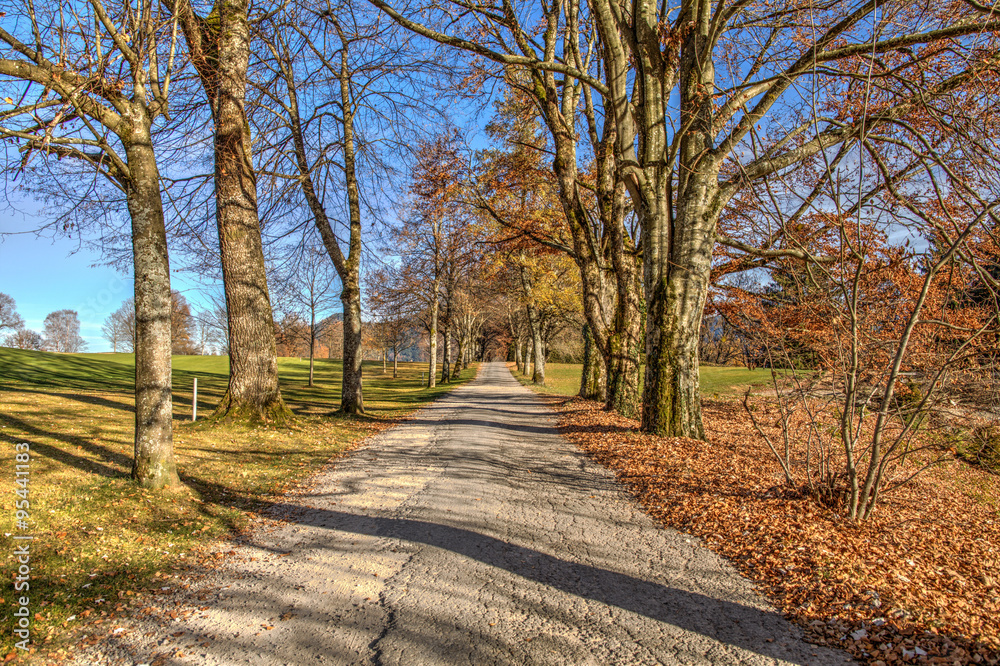 autumn landscape parkway