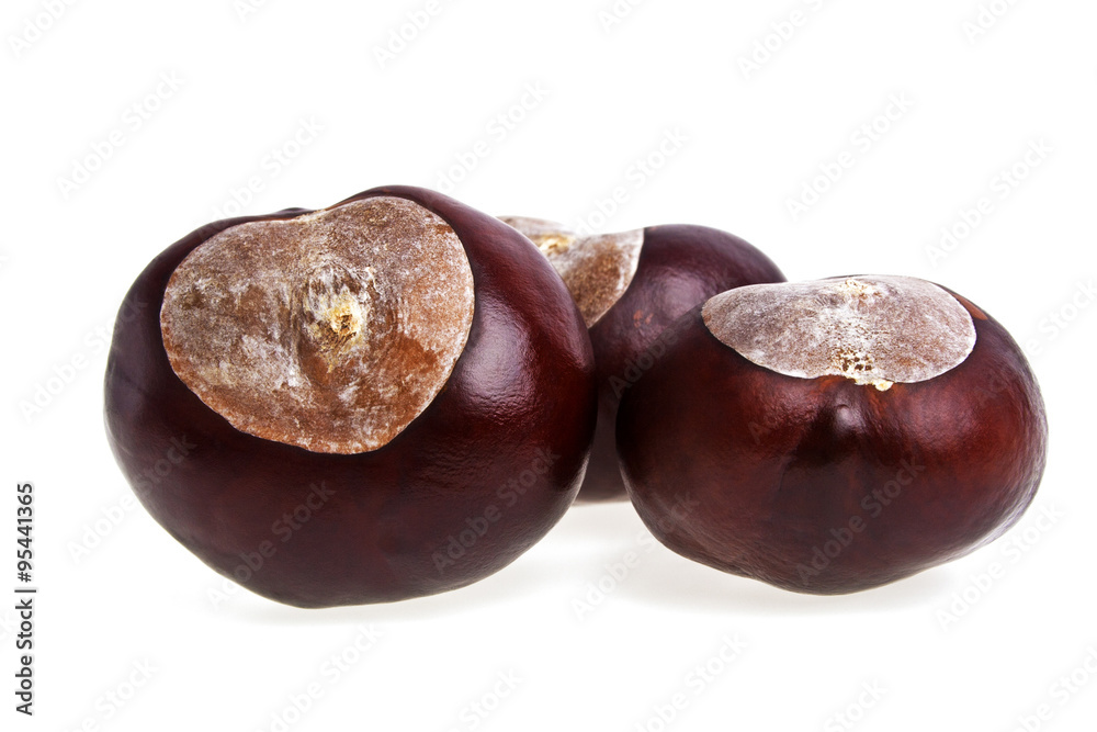Obraz premium Chestnuts isolated on a white background