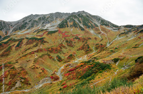 autumn colors, Tateyama mountain range, Japan   © KnoB