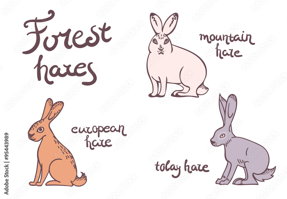 Forest hares set Forest hares set