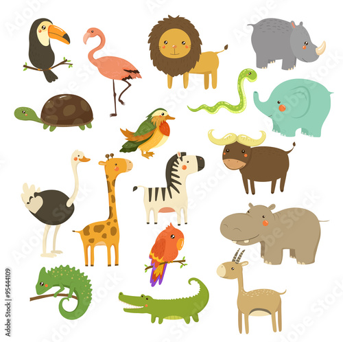 Cute Woodland and Jungle Animals Vector Set