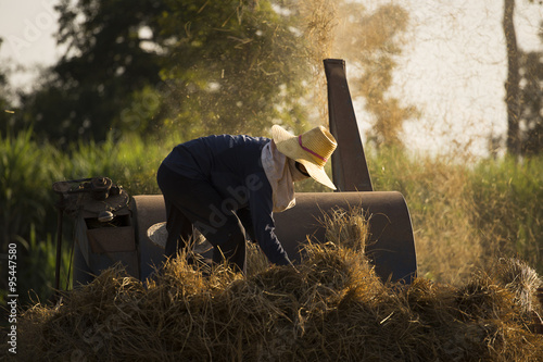 The threshing photo