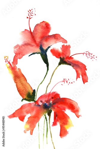 Red hibiscus flowers, watercolor painting