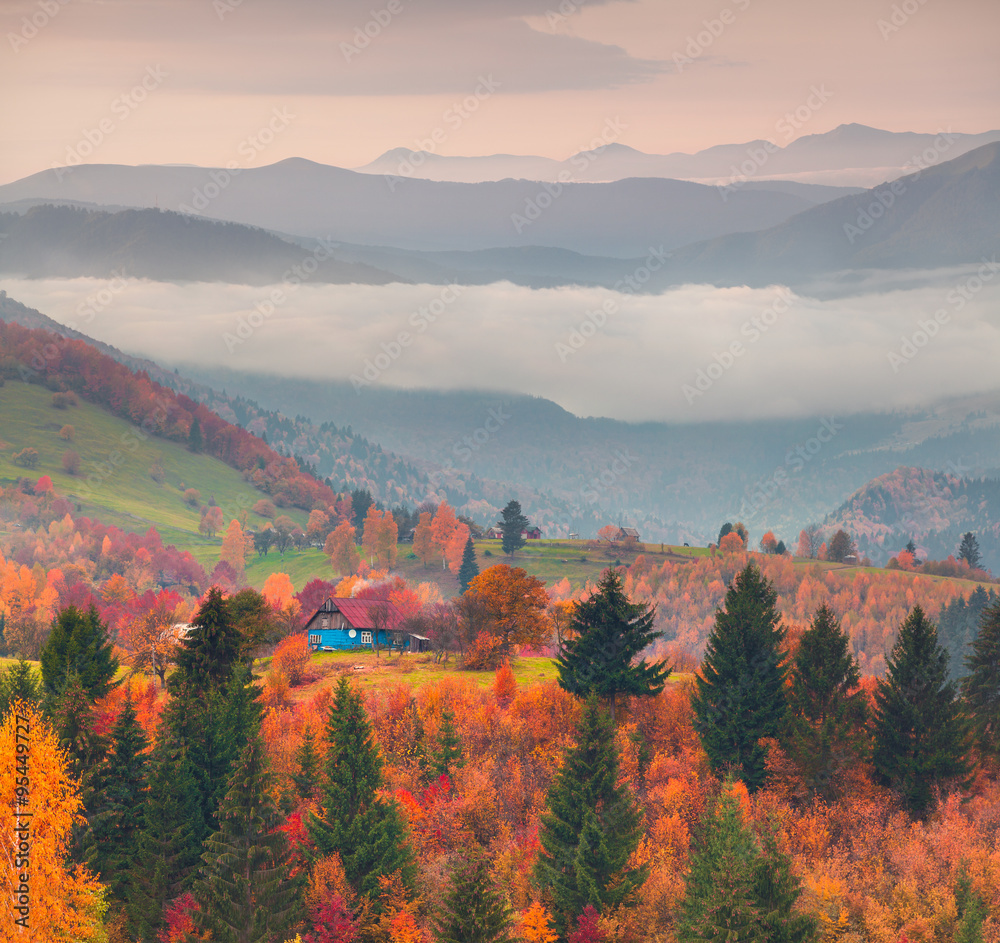 Autumn in Carpathian village Kvasy.