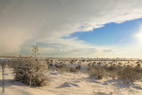 RURAL LANDSCAPE WINTER.Alta Murgia National Park: snowy hills.(Apulia) ITALY.It is a limestone plateau,with wide fields and rocky outcrops,grassland characterized by sheep paths,ancient carob tree. 