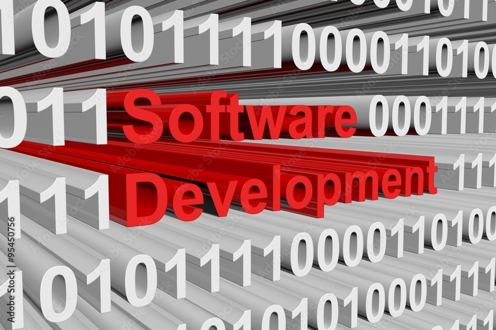 software development is presented in the form of binary code