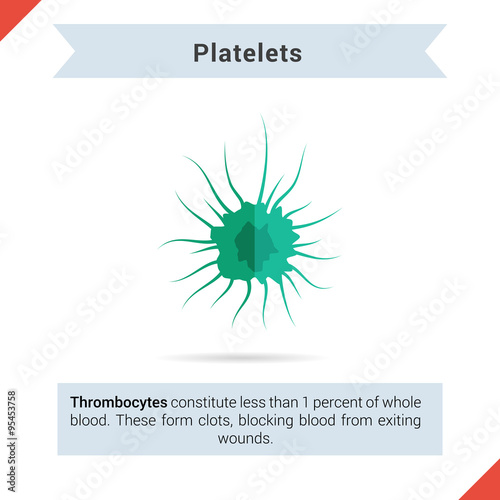 Flat icon platelets cell