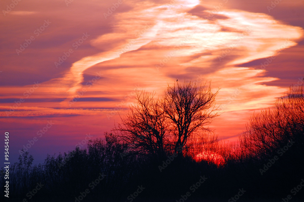 Fototapeta premium Zachód słońca,drzewo 