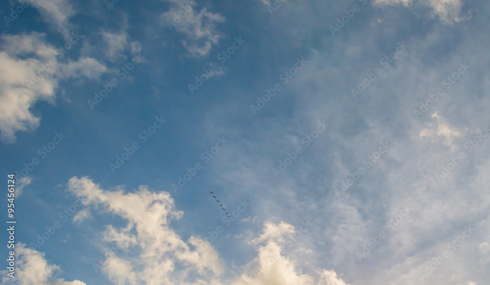 Geese flying in a blue cloudy sky