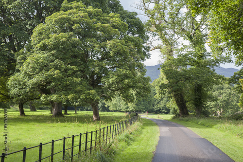 Killarney National Park; County Kerry