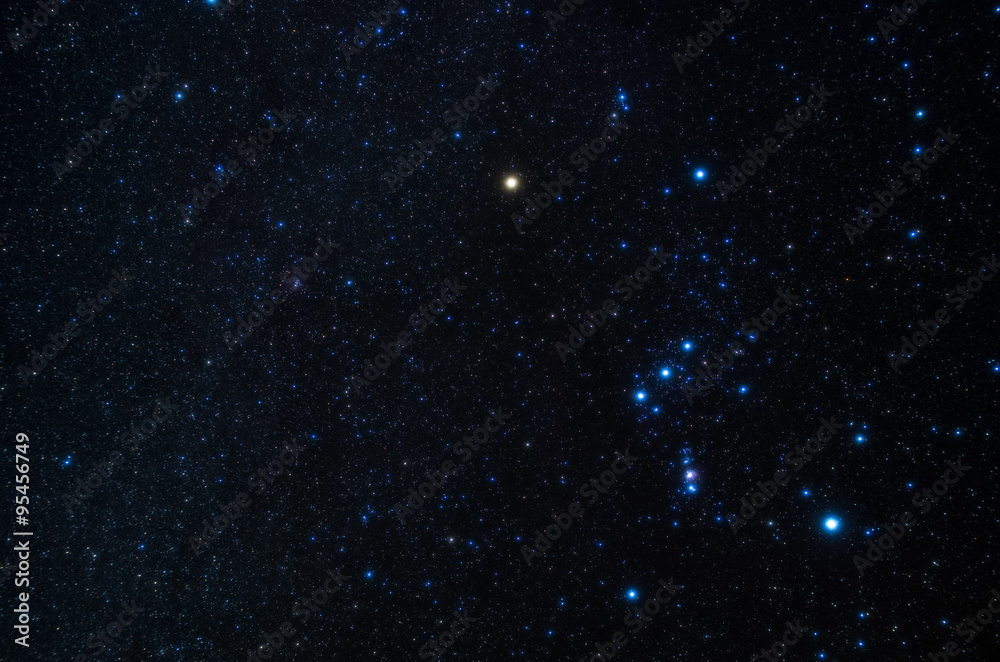 Fototapeta premium Orion（オリオン座）