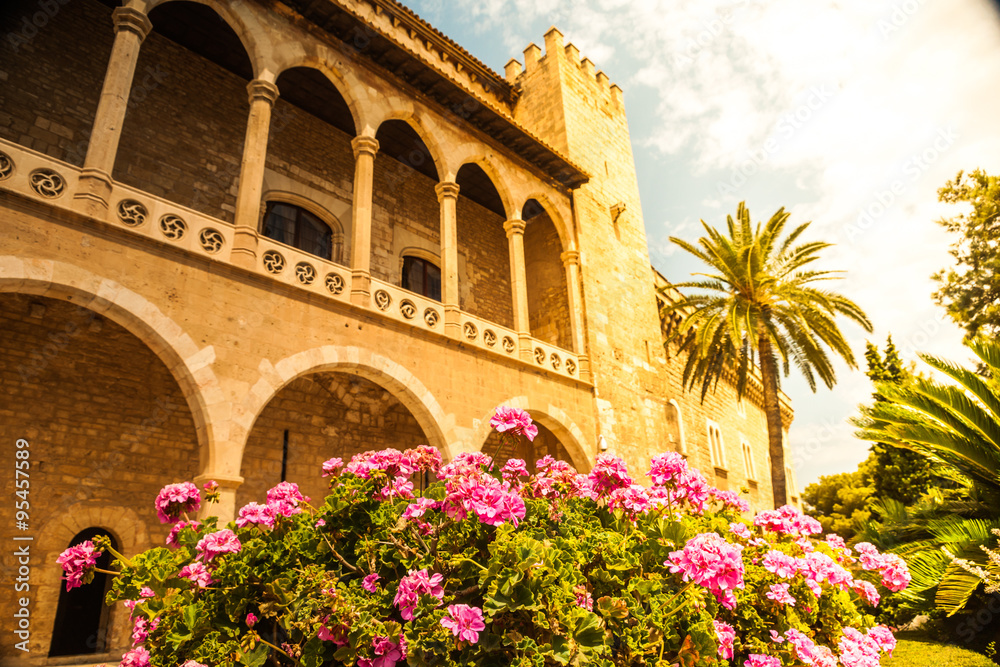 Obraz premium Palm trees along the coast in Palma de Mallorca