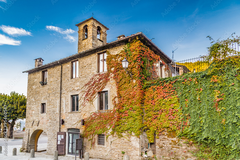 Boston Ivy in mountain village in Tuscany