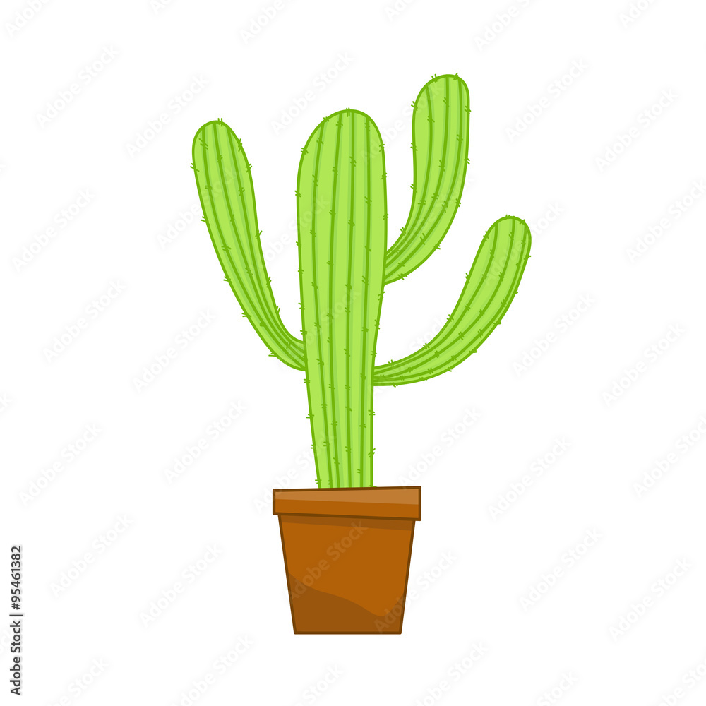 cactus isolated illustration cactus isolated illustration