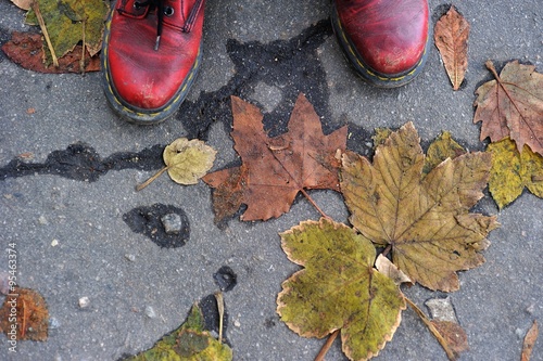 foot shoes on a background of fallen leaves on the asphalt/foot shoes on the background of the fallen on the gray asphalt autumn foliage