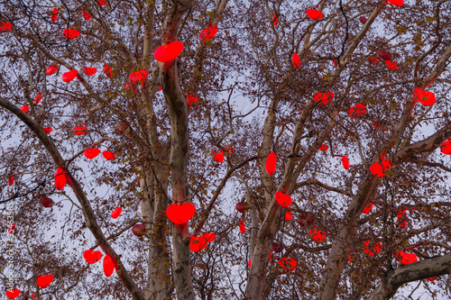 Photography A tree iluminated with red hearts at Christmas