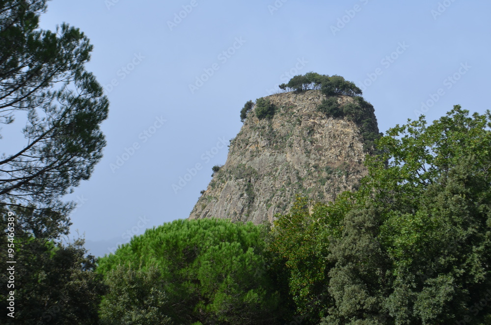Roccia Roccia