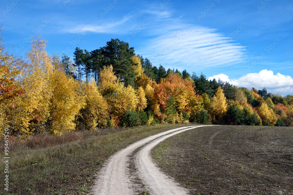 Beautiful landscape with road near autumn forest (loop, purpose,